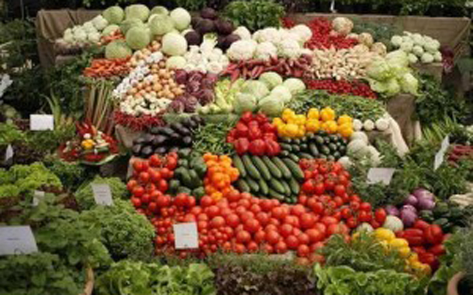 πάτρα-σε-κόμβο-διακίνησης-προϊόντων-τ-2058265