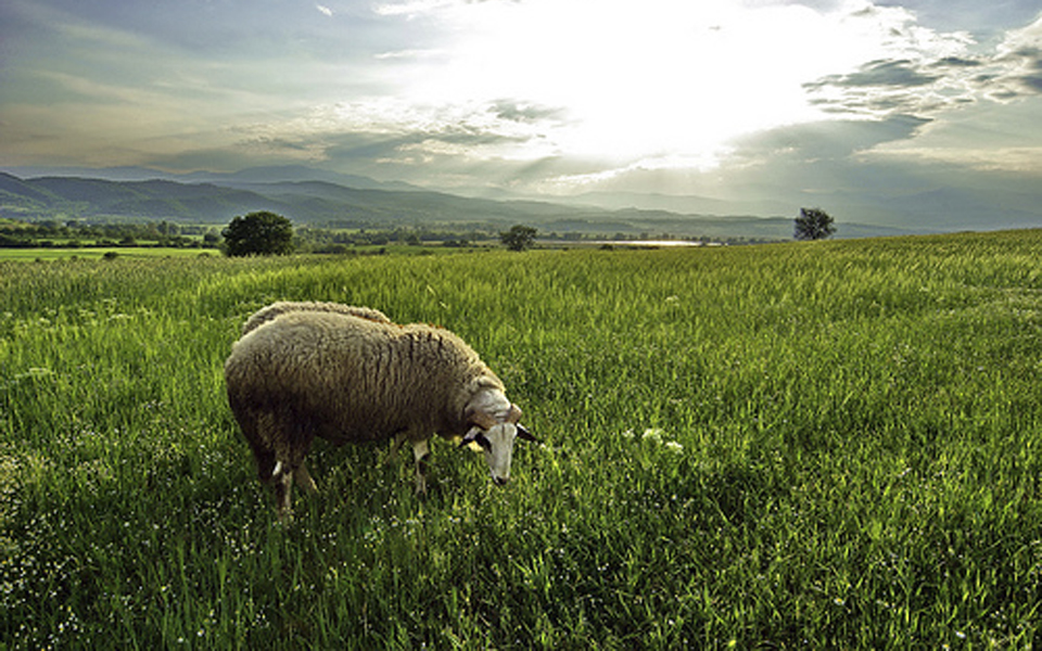 τι-προβλέπει-το-νέο-νομικό-πλαίσιο-για-2060150