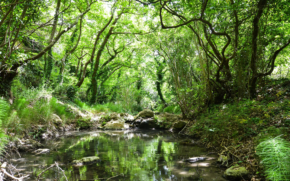 μικροί-παράδεισοι-βιοποικιλότητας-σ-2063903