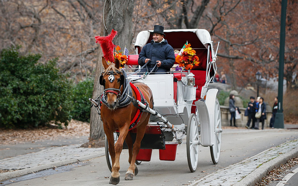 θα-απαγορευτούν-τελικά-οι-άμαξες-2061652
