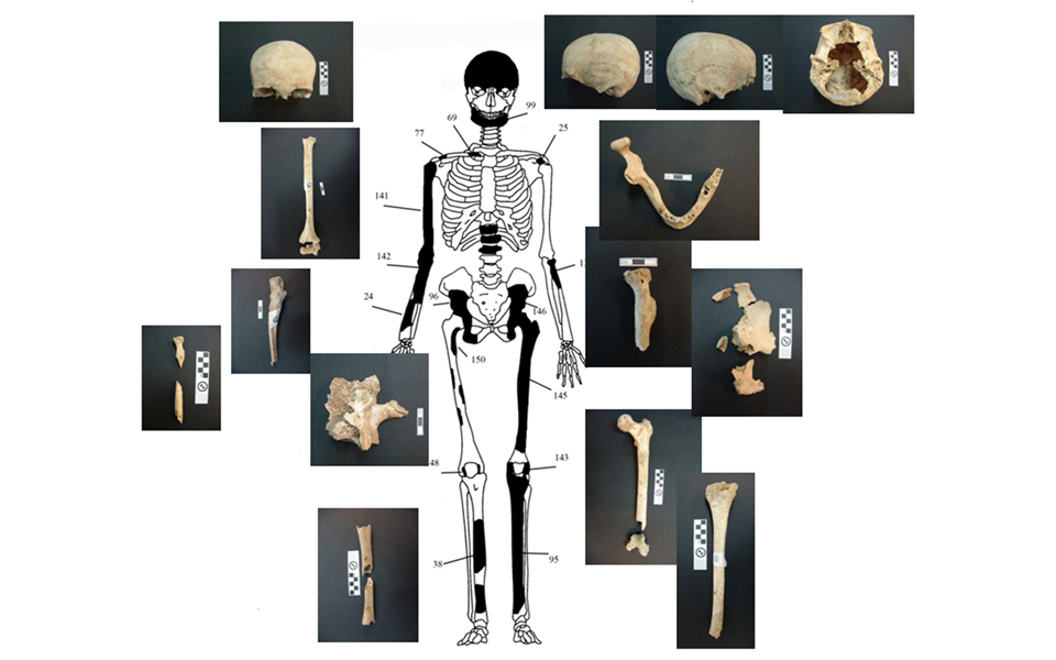 πλήθος-ερωτημάτων-από-τους-σκελετούς-2064266