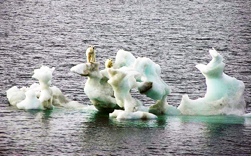 το-2014-η-πιο-θερμή-χρονιά-από-καταβολής-με-2063866