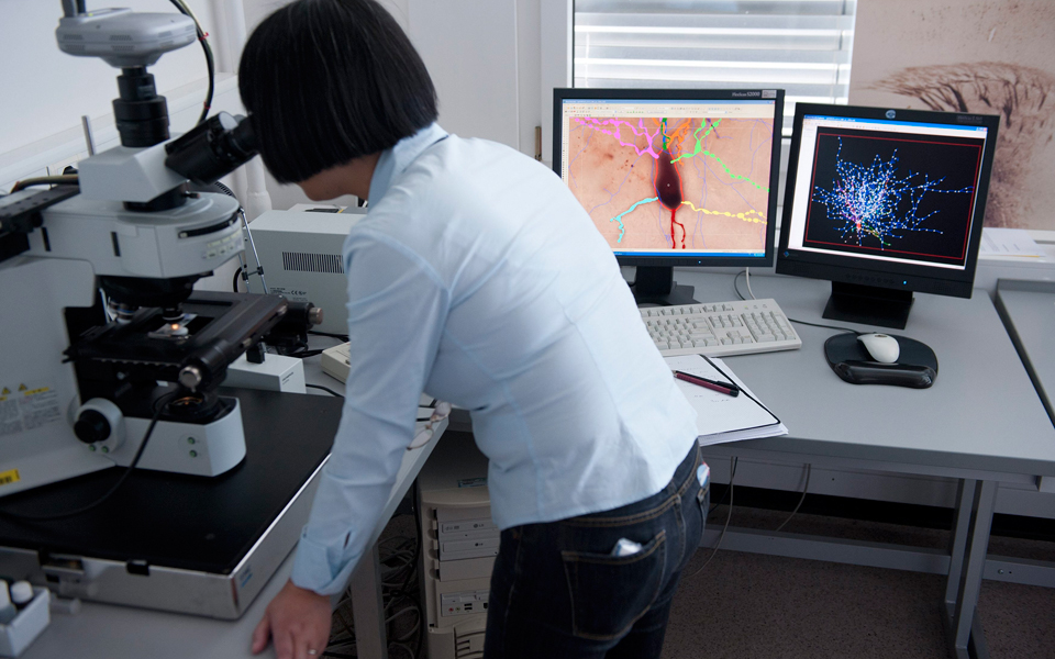 αναζητώντας-ιούς-ωφέλιμους-για-το-ανο-2064048