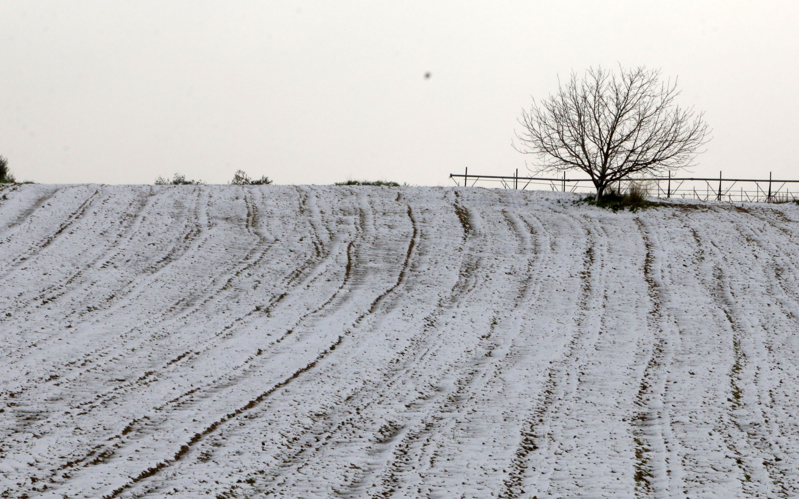 στο-έλεος-του-χιονιού-η-κρήτη-αποκλει-2062168
