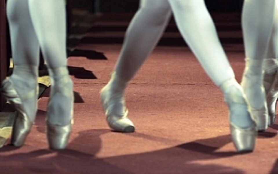 αργοπορημένος-καρυοθραύστης-2065954