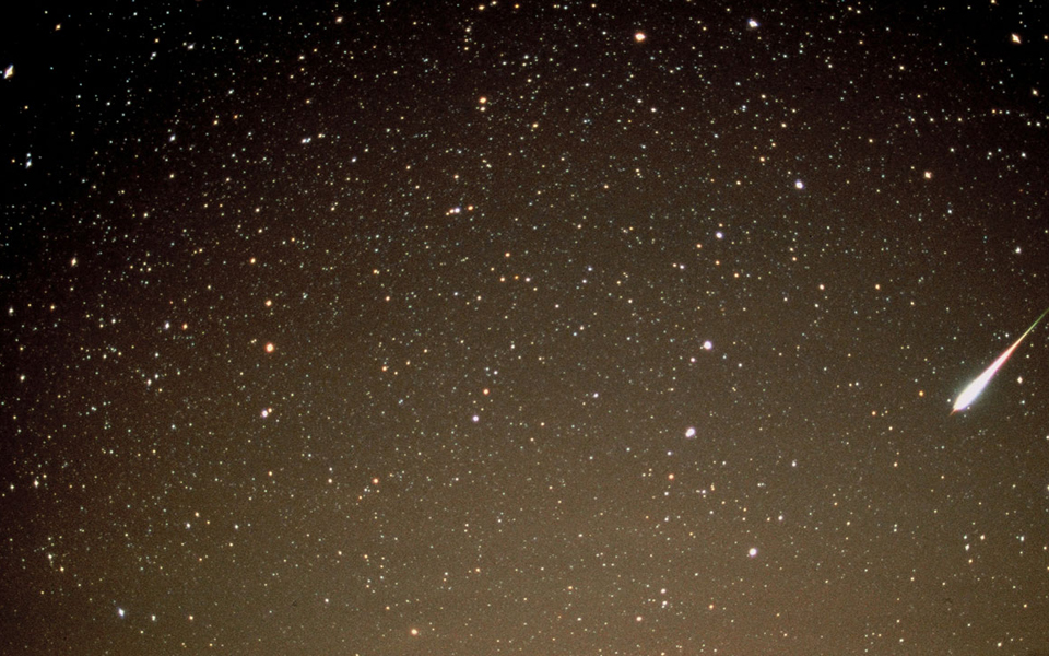 τεταρτίδες-τα-πρώτα-πεφταστέρια-του-2015-2061636