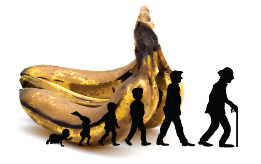 η-γήρανση-δεν-είναι-κρίση-αλλά-ευκαιρί-2063348