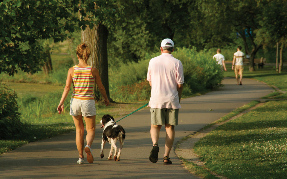 θεραπευτικό-το-περπάτημα-με-συντροφι-2064430