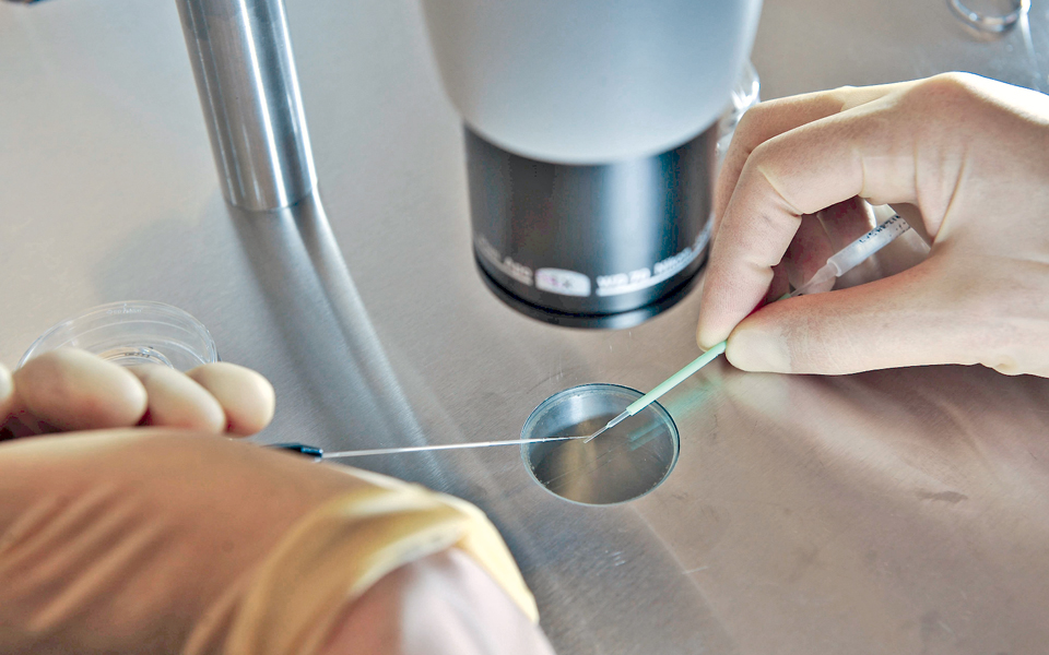 δημιουργία-βρεφών-με-dna-από-τρεις-ανθρώ-2066706