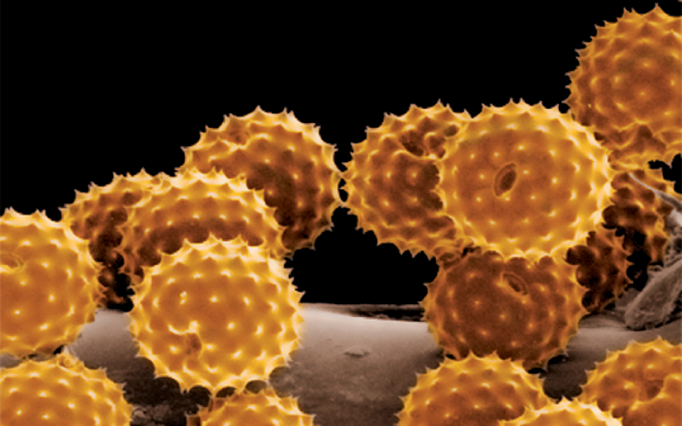 τα-μικρόβια-κάνουν-πάρτι-στα-μετρό-2067332