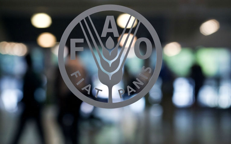 fao-φόβοι-για-εμφάνιση-αφθώδους-πυρετού-2067659