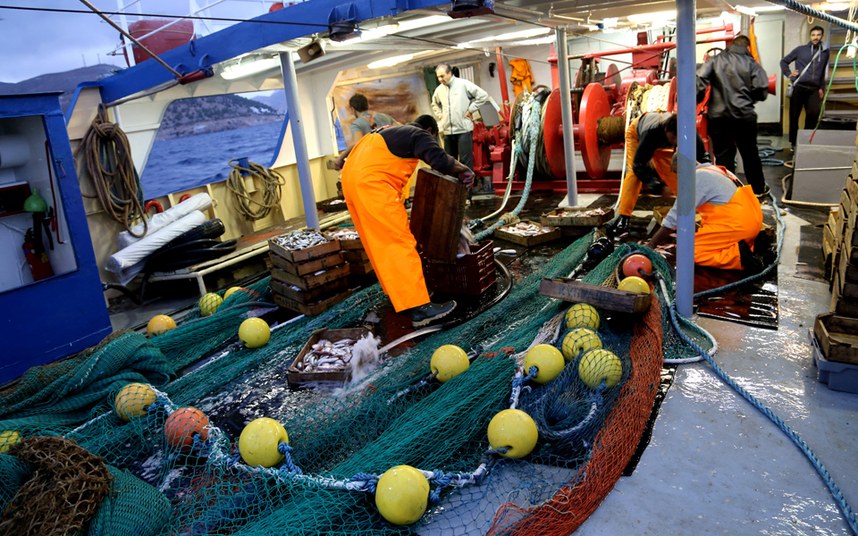 οι-τέσσερις-απειλές-για-εξαφάνιση-των-2069752