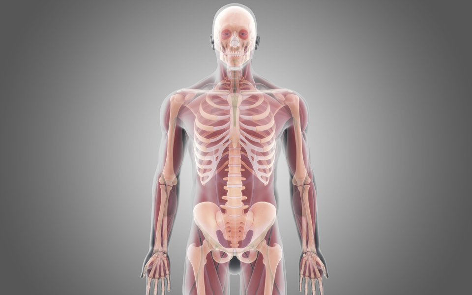 μεταμόσχευση-σώματος-το-όραμα-και-η-ηθ-2070442