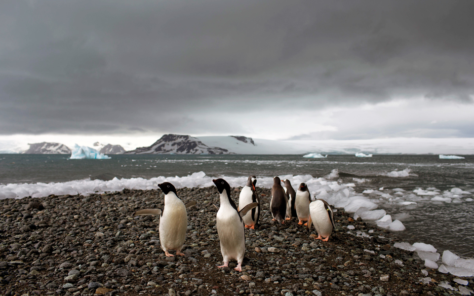 η-ανταρκτική-ένα-παράθυρο-στον-χρόνο-2069610