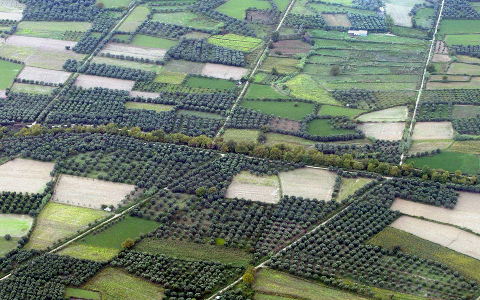 πρόσωπα-και-πράγματα-2068559