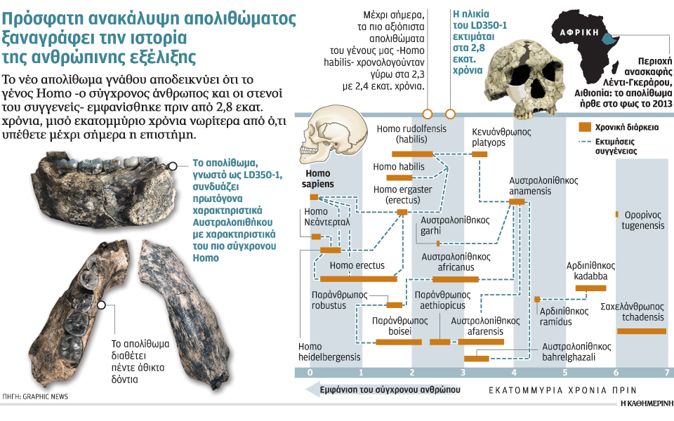 απολίθωμα-γνάθου-28-εκατ-ετών-2071578