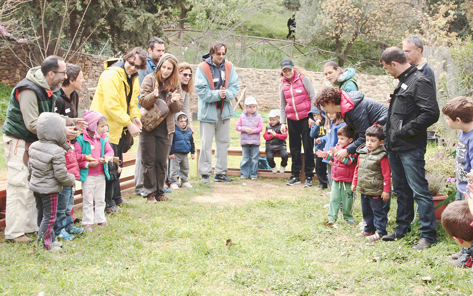 αισθητικό-δάσος-ένα-δώρο-καθόλου-δε-2072797