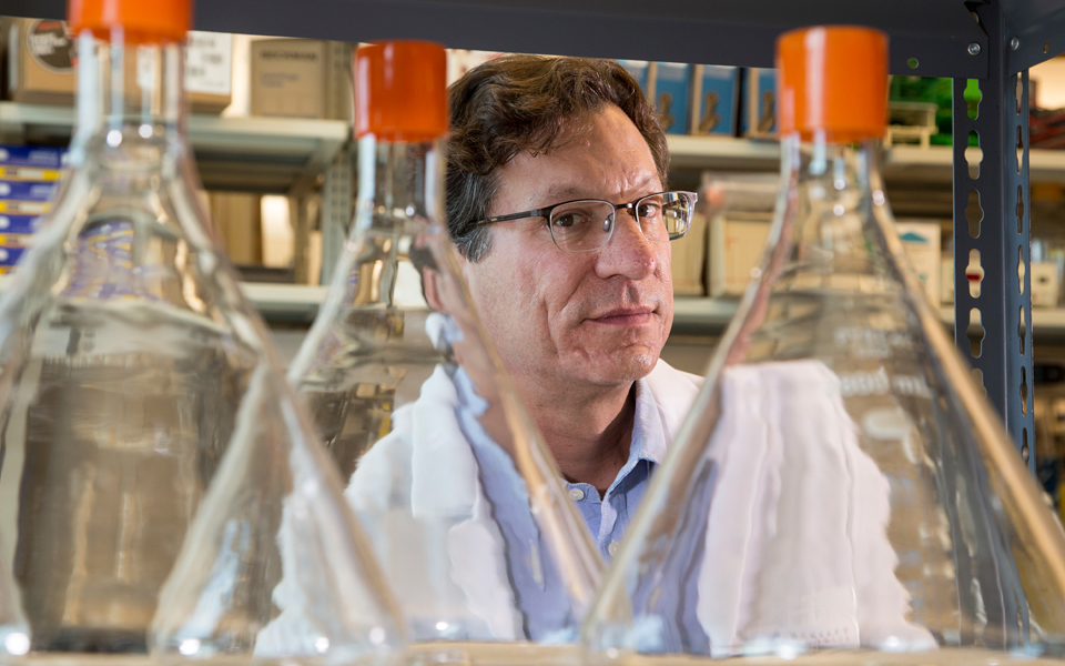 συνθετικά-γονίδια-γίνονται-ασπίδα-κα-2072387