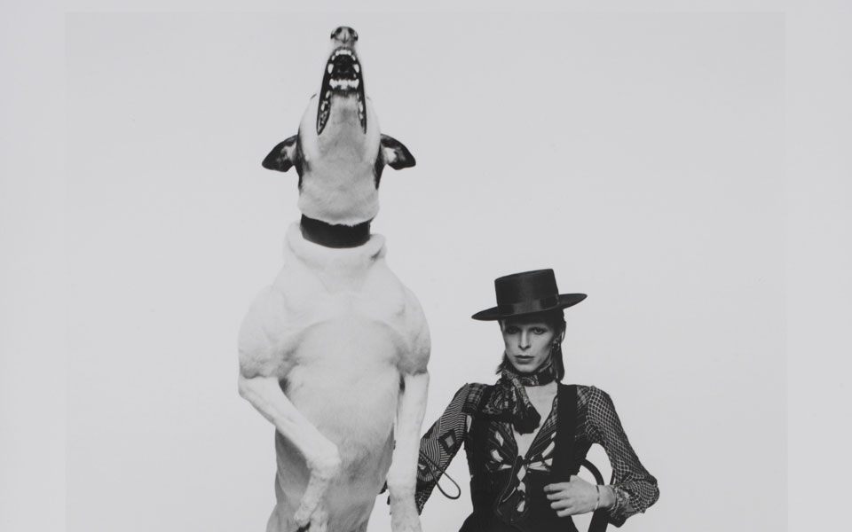 ταξίδι-στον-πλανήτη-του-ντέιβιντ-μπόο-2073848