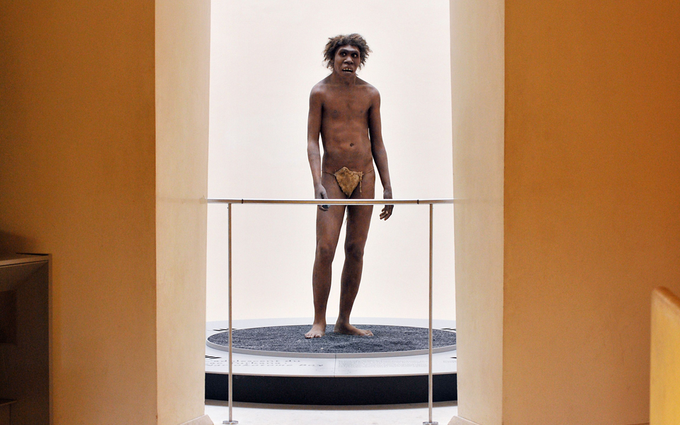 σκύλοι-βοήθησαν-τον-homo-sapiens-να-επιβληθεί-2071031