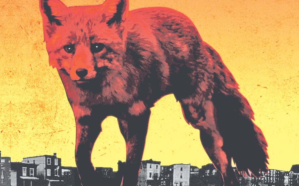 μoυσικές-εξαίσιες-2078234