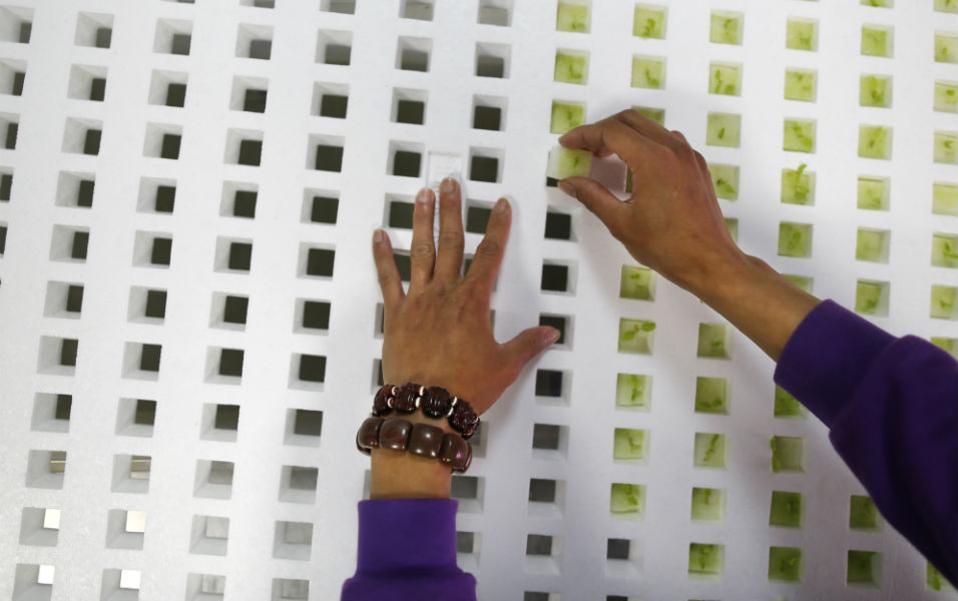 φωτογραφήματα-2076869