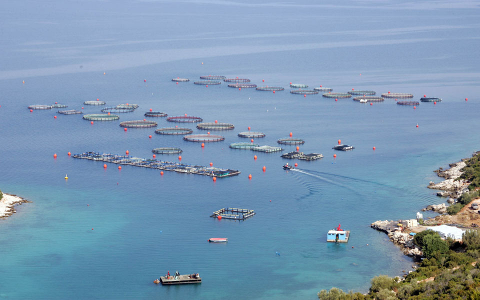 ενίσχυση-των-επενδύσεων-στους-τομείς-2076631