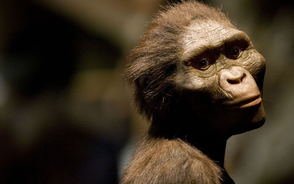 κατασκεύαζαν-λίθινα-εργαλεία-πριν-απ-2079916