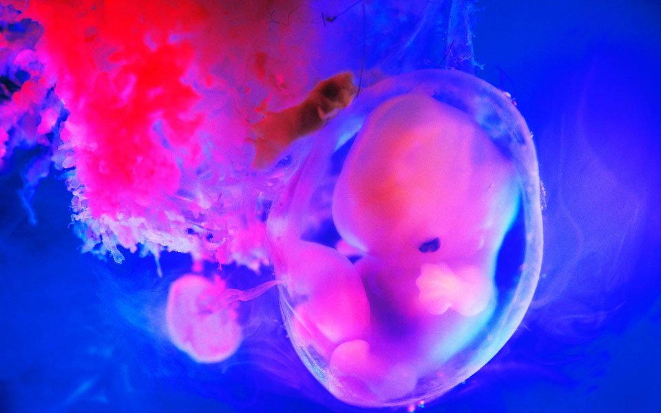 προς-νέα-εποχή-ευγονικής-η-κίνα-2079607