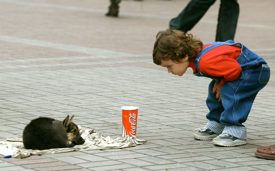 μία-μόνο-επίμονη-ματιά-αρκεί-2078637