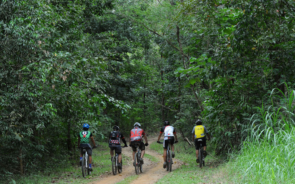 ανάσα-δροσιάς-για-τη-μανίλα-2080304