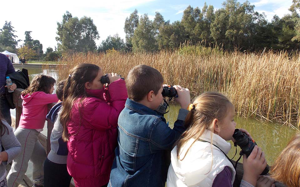 περιβαλλοντικά-εργαστήρια-πέτα-ψηλά-2080812