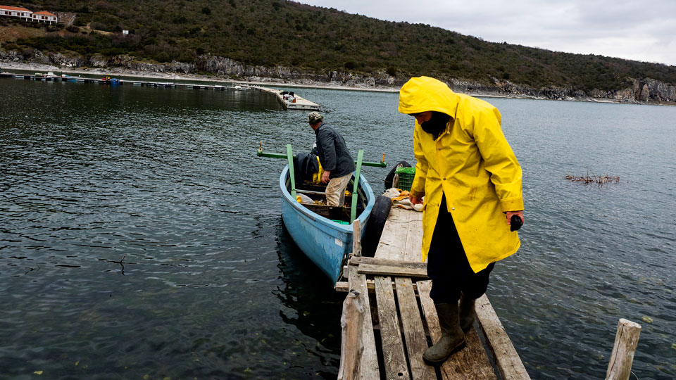 το-μοναδικό-παράδειγμα-της-πρέσπας-2077778