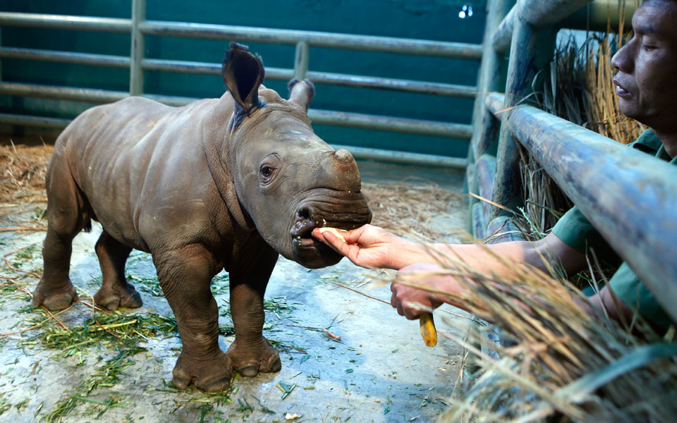 η-ώρα-του-φαγητού-2077295