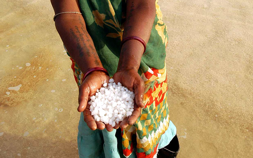 αντικρουόμενες-επιστημονικές-θέσεις-2077218