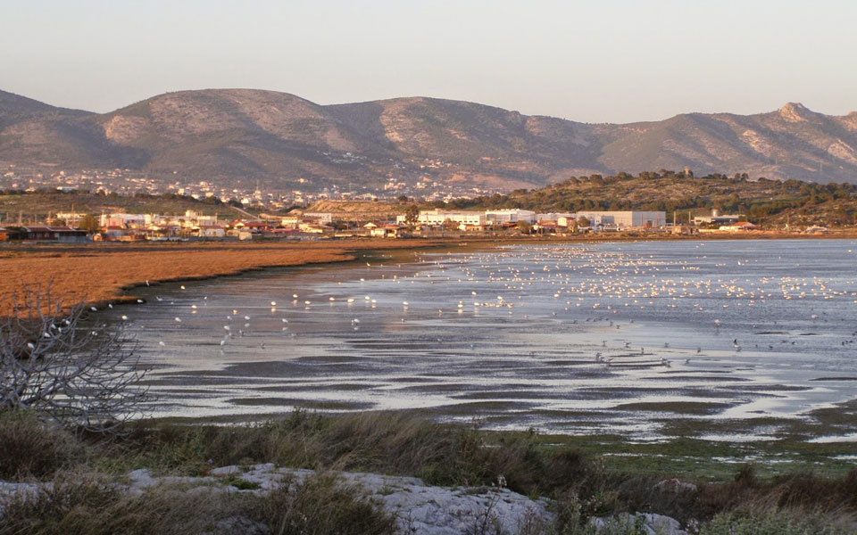 ενα-βήμα-πριν-χαρακτηριστεί-περιφερε-2078639