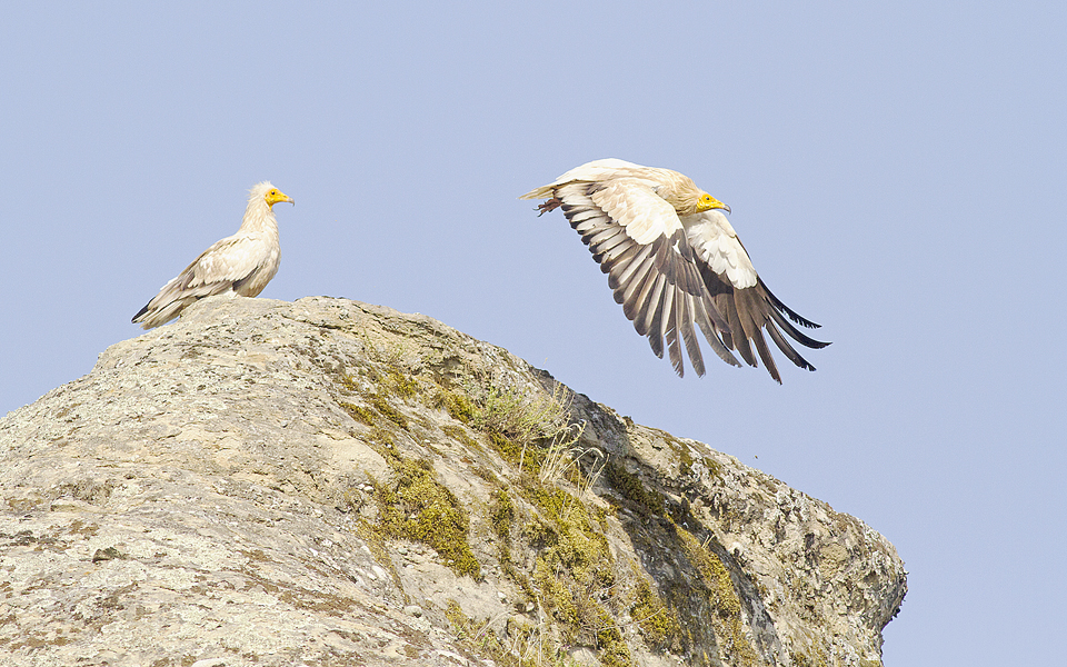 ακολουθώντας-το-μακρύ-ταξίδι-ενός-ασπ-2080967