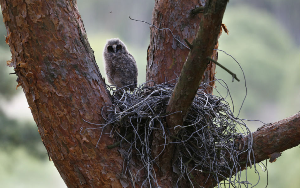 φωτογραφήματα-2085620