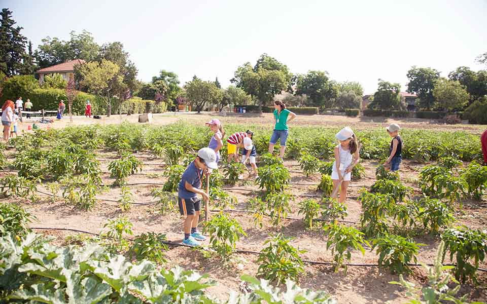 καλοκαιρινά-ραντεβού-2084614