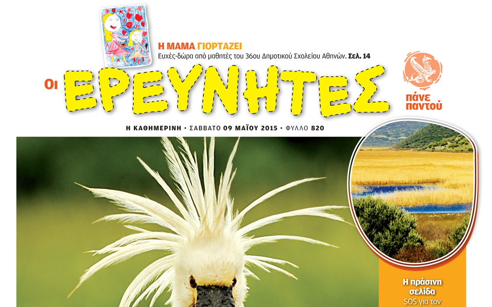 πώς-χτενίζονται-τα-πουλιά-2081422