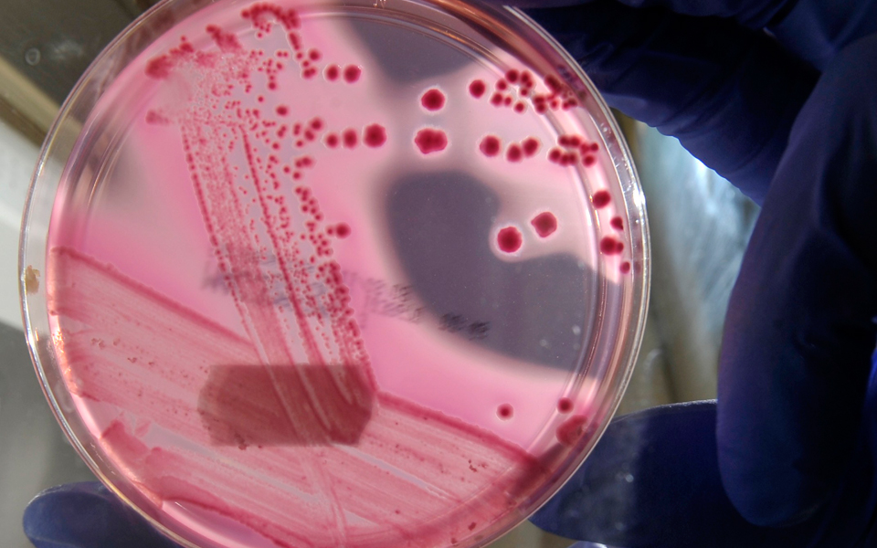 ο-έρπης-συνδράμει-στην-αντιμετώπιση-τ-2085522