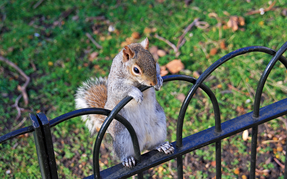 park-life-στο-βόρειο-λονδίνο-2083724