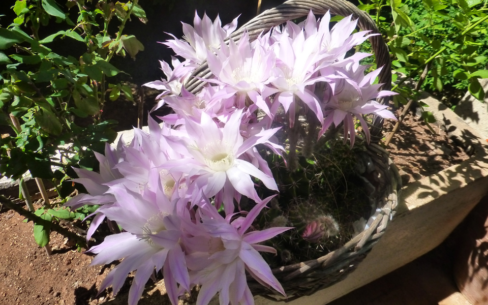 tο-ευλογημένο-τριήμερο-και-η-προσγείωσ-2086186