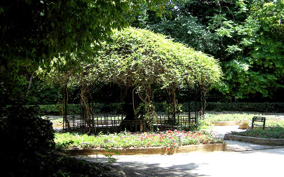 εκπαιδευτικό-πρόγραμμα-βόλτα-στον-κή-2087603