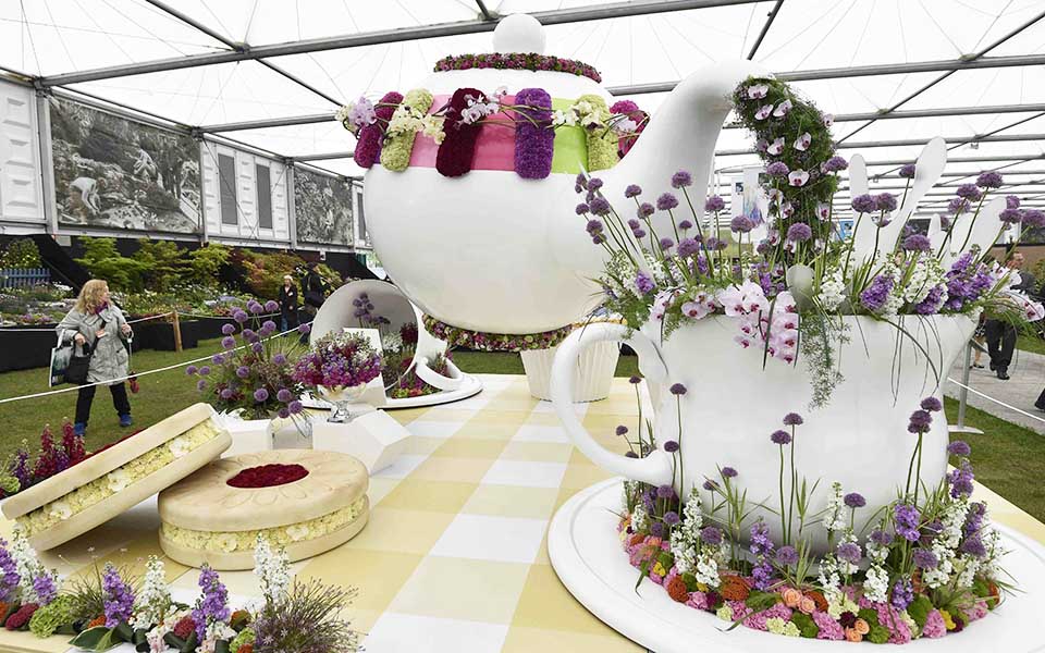 τα-λουλούδια-άνθισαν-στο-τσέλσι-2086654