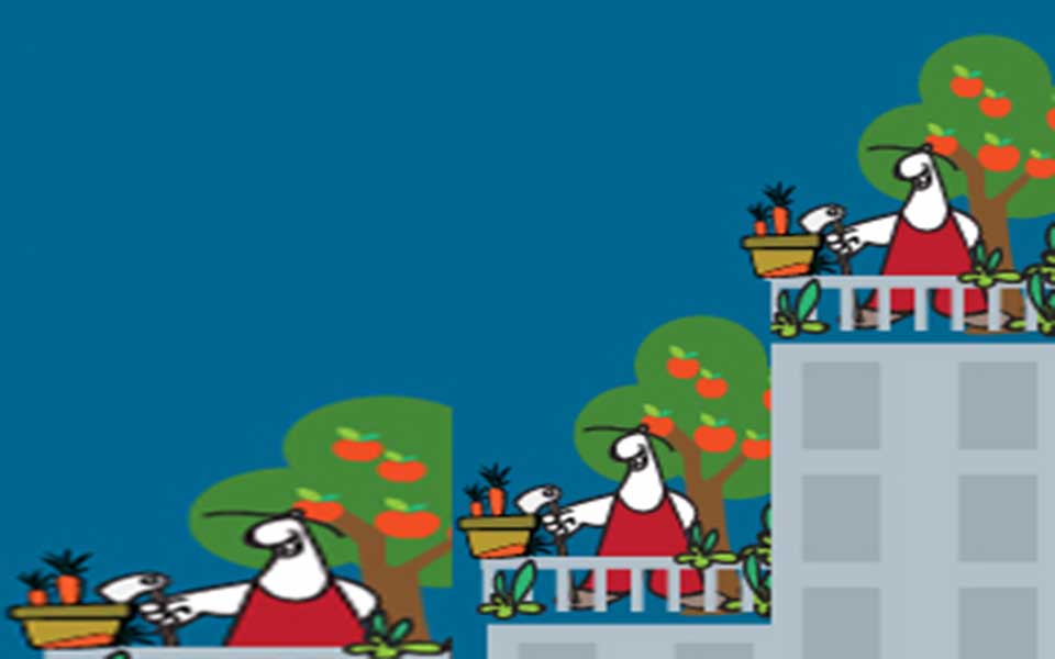 φεστιβάλ-και-εργαστήρια-κηπουροί-στη-2086650