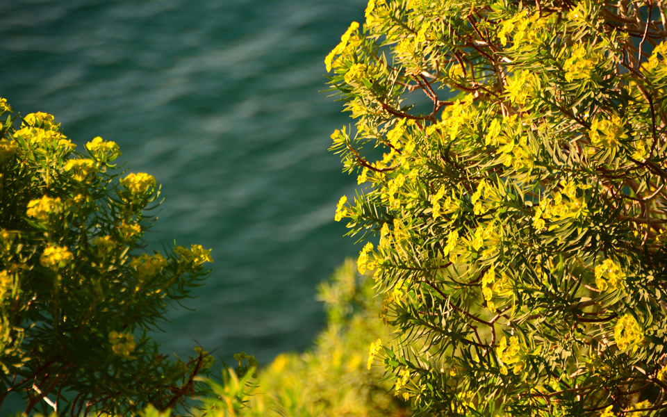 eκρηξη-όζοντος-από-την-ηλιοφάνεια-στ-2088336