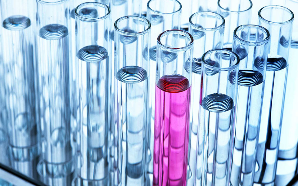 προτάσεις-για-το-δεκαπενθήμερο-που-έρ-2090499