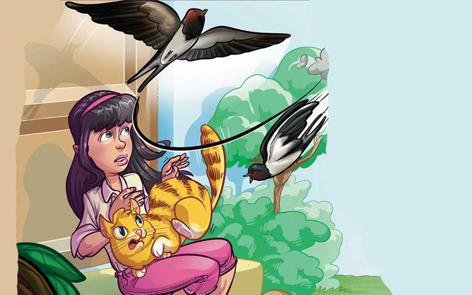 ο-παπουτσωμένος-και-τα-χελιδόνια-2089091