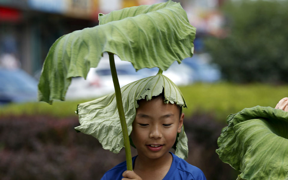 φωτογραφήματα-2091449